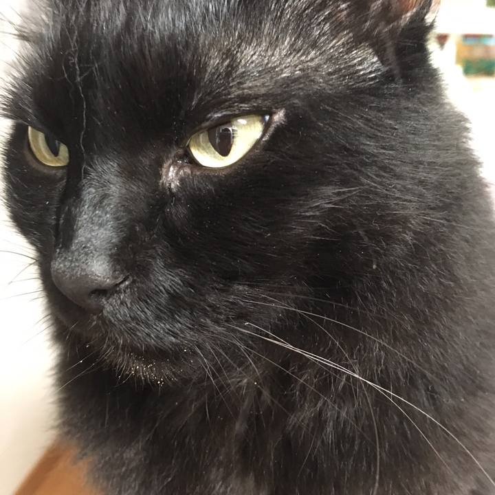 01d439a9 5cc3 4073 b28c bbb13d4bba03