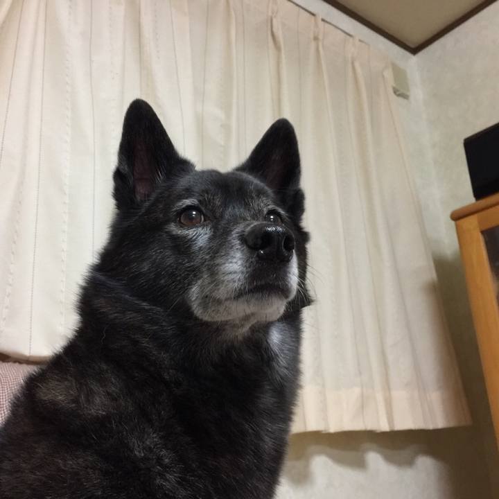 01d4523a 7a5c 4d7d 9871 e82447109156