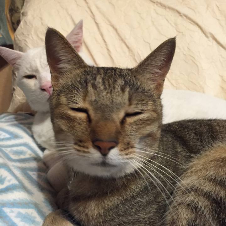 01d551e3 3169 4419 9738 0982784ac9ef