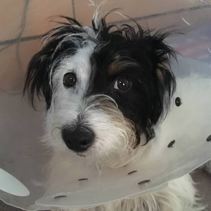 01d59d5b 13e6 4d7e 8f4f 03ab53c8aff2