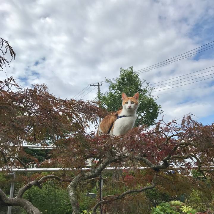 01d639b3 3d5f 403d ad1f b11826efa8c9