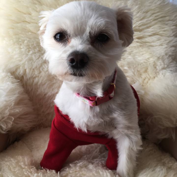 01d67e53 9abf 450d b249 d1a284fe4efc