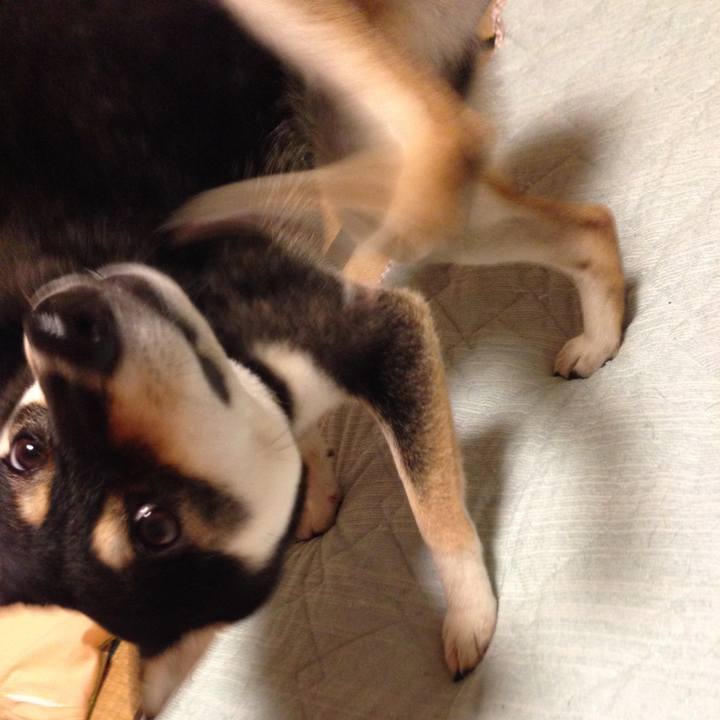 01d68332 32f9 4f98 b30a aeffb5034d11