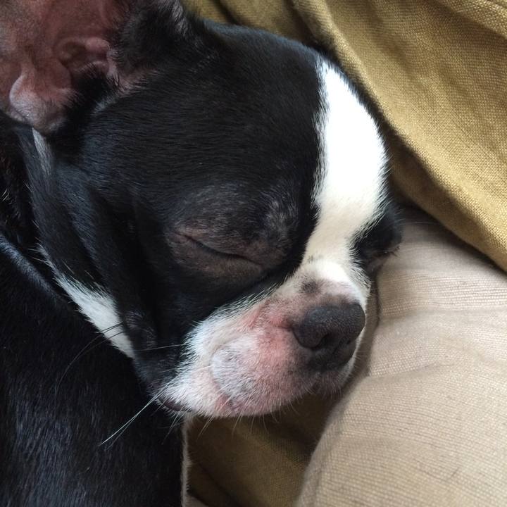 01d6c531 f7c7 4485 abfa 7f076f2f8141