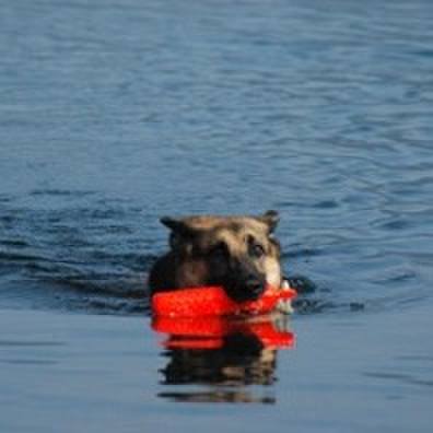 01d7c569 6773 4c6c bcfe 46509525909a