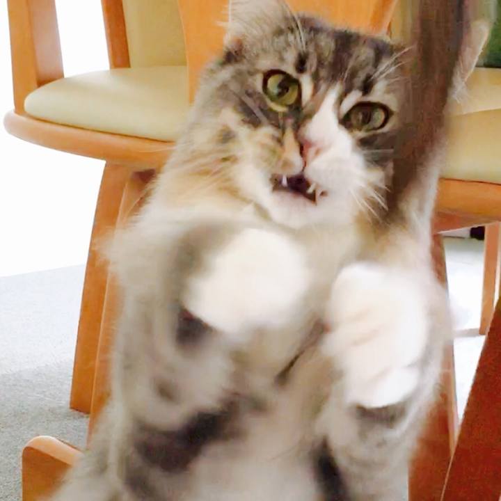 01d7e74c af81 495c ae08 07b3812bac0f