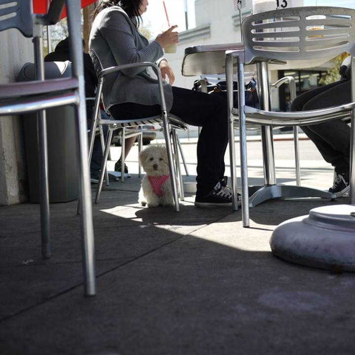 01d89135 0e40 49a5 9e4d b552f929dbeb