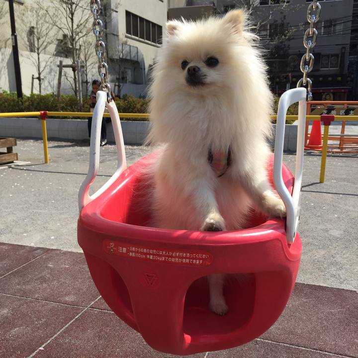 01d8a51e b859 488e 943e 0e2cca822e07