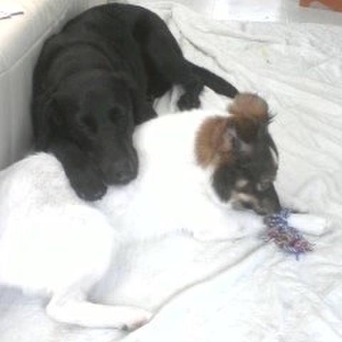 01d9a057 f23f 444b ae75 f73470c9f9dd