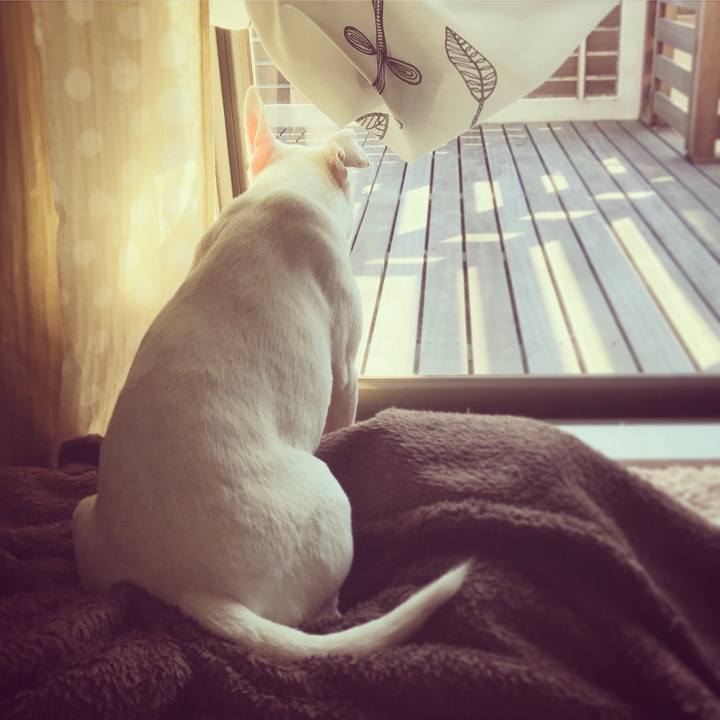 01d9d123 1763 40b5 983d 0be4d903d3b5