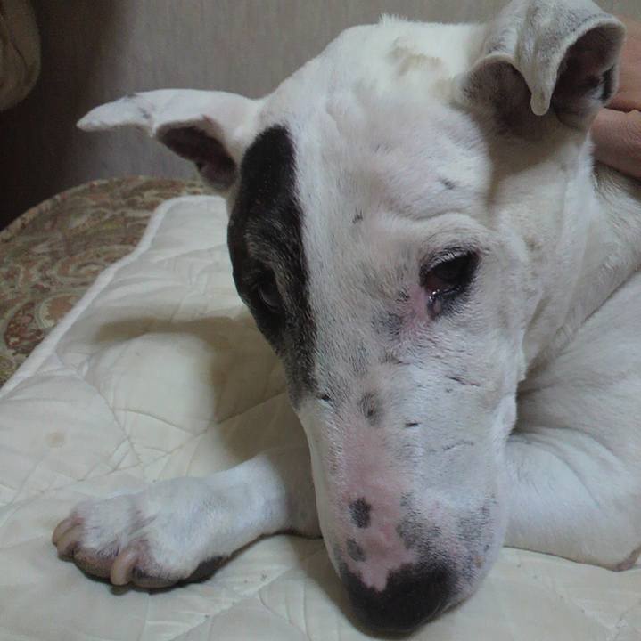 01d9f9f2 a246 4a8a b8be 8e5159e6ead7