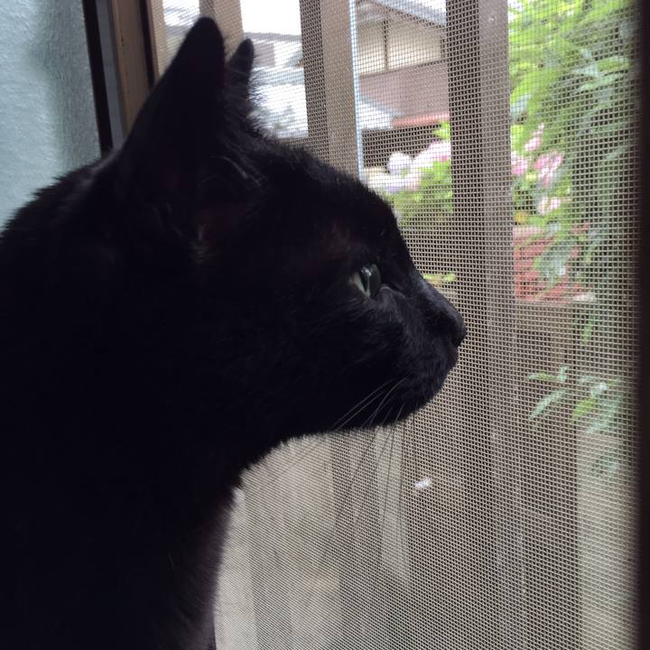 01da4f41 409e 409a b664 91d2c0dfe4e7