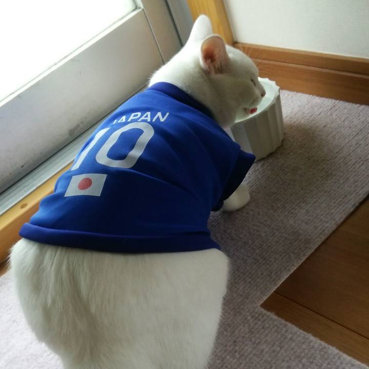 01dae2c1 8c5e 482d b7d4 1221b3b24413