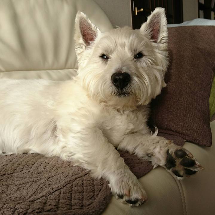 01db304a 6f51 4945 bfe8 9bf5c9243159