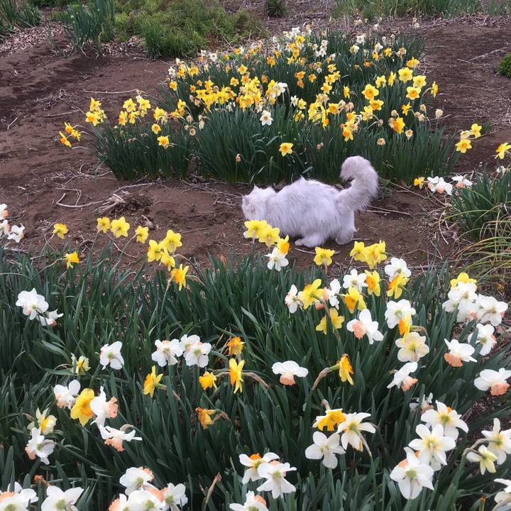 01db3e37 c3c7 44c6 8eaf f773511181d5