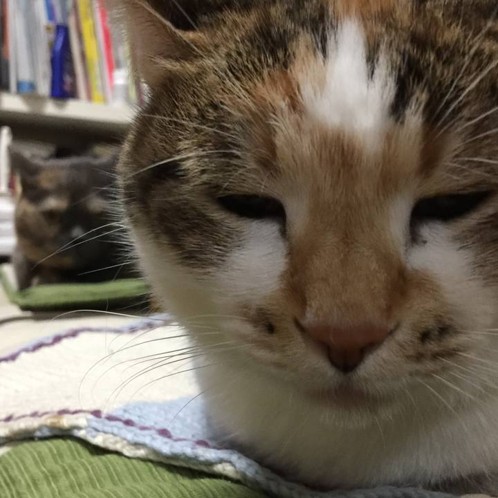 01dbd40f 4c8d 4570 a0ff cf7f98178b12