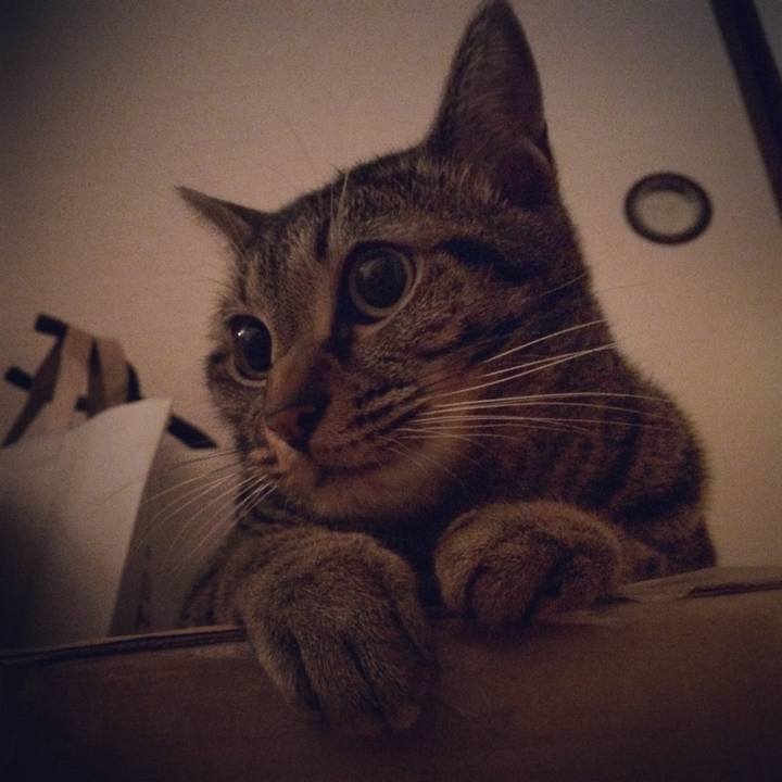 01dc4a02 3870 4945 9bc1 cf26f2dd8783