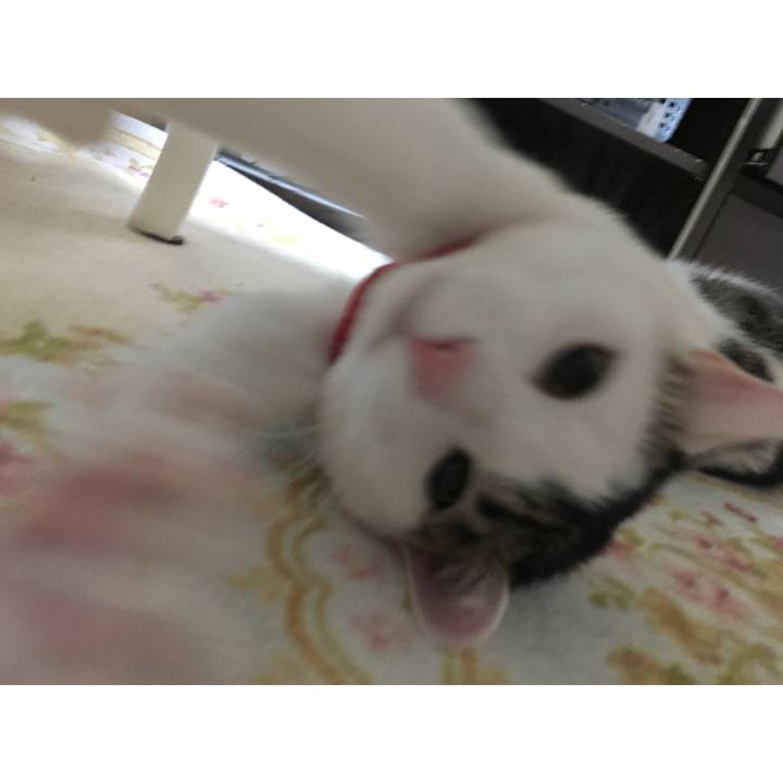 01dc62e8 69d7 4509 a537 c52c3223a3eb