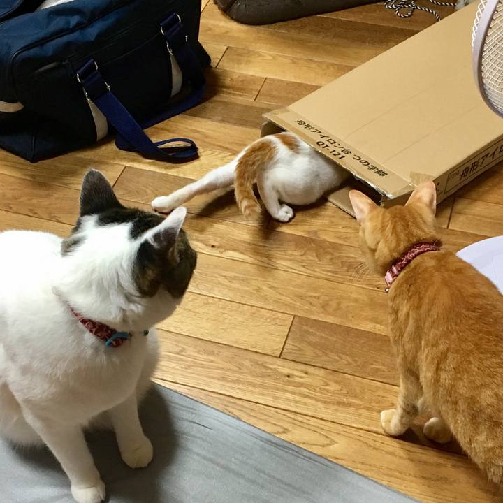 01dc6906 453f 4de4 89b1 9c2fe852a2a8