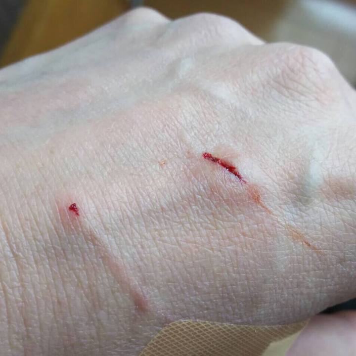 01dcd838 427b 49ae af57 f3ed9acd0a6e