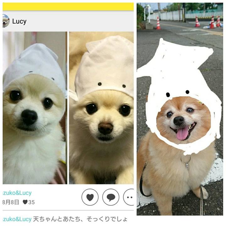 01dcf437 8492 4c86 960e 7d4d4e1606ee