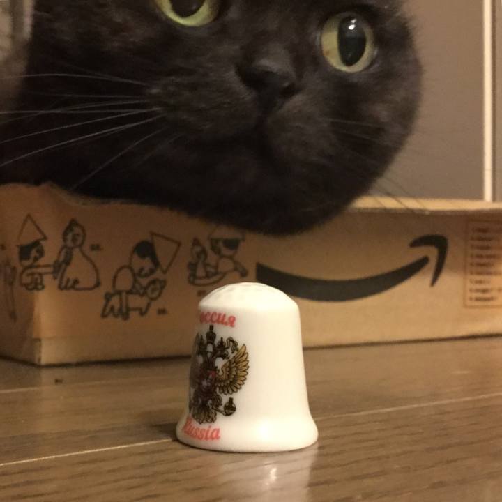 01dd0cc7 21aa 419d 98ad 8453ae0d986c