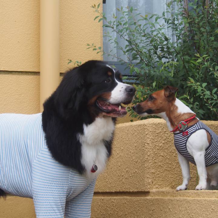 01dd1bab 6360 485a b143 4cd57cfebc8d