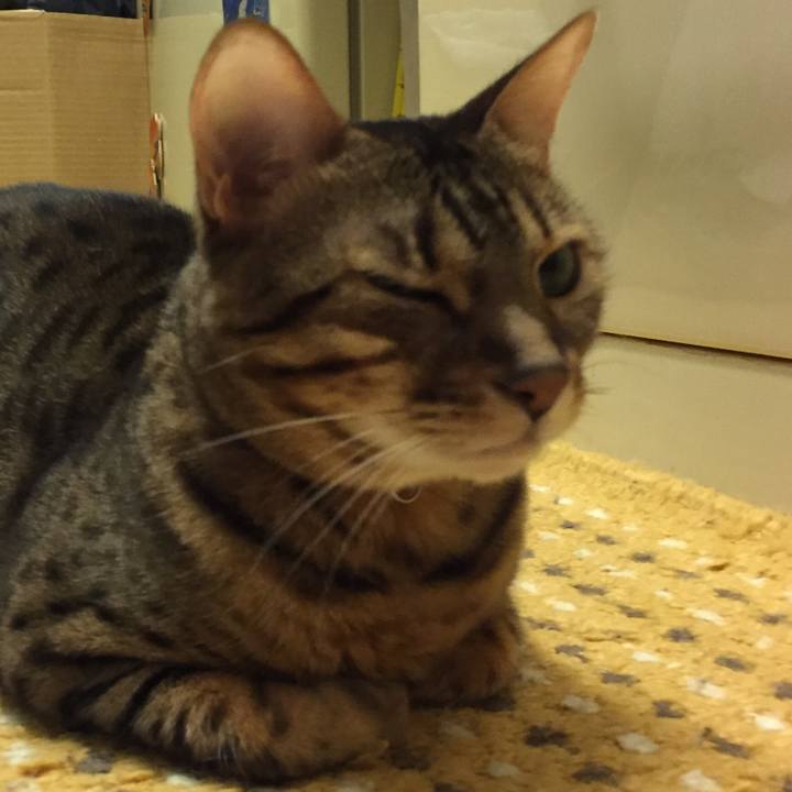 01dd538b a9fd 43da 9b0b 5d09323a9f1d