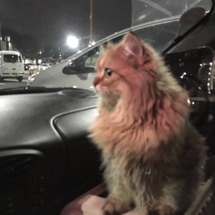 01ddc03a 4506 4109 a3c3 d52a565ba905