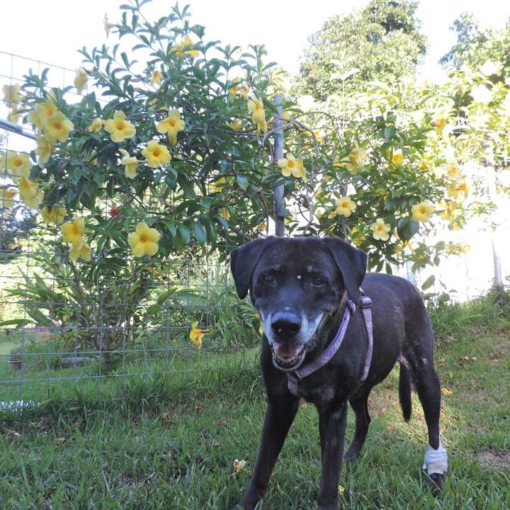 01ddf6a8 04a1 4220 ab61 ccb1c5782de1