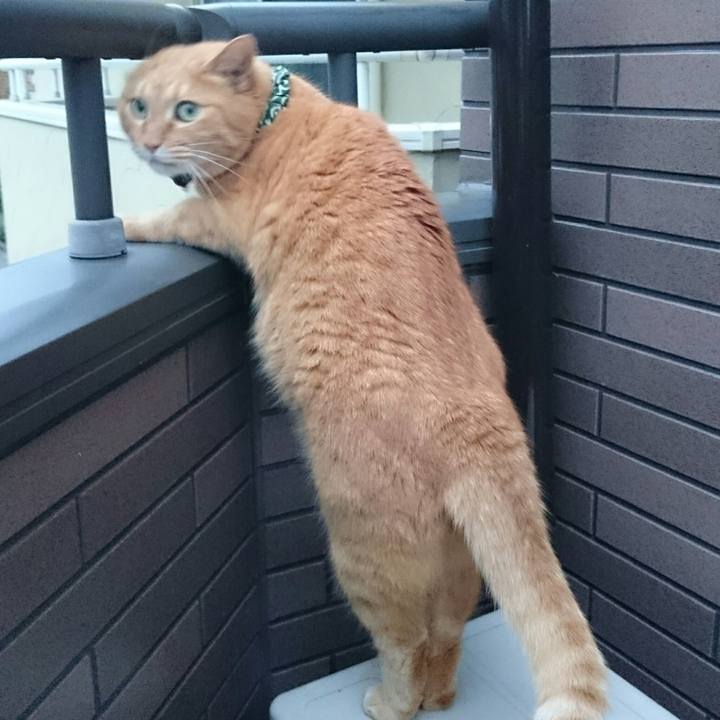 01de5dcc 3892 4b9e be14 a8a2347e1591