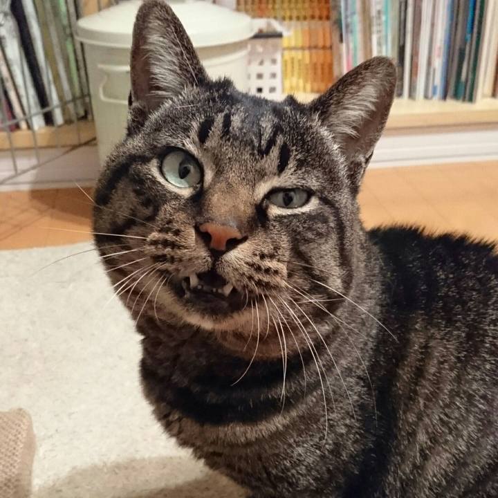 01dea87f e6e4 44fb 9b6e 8aeda58cde92