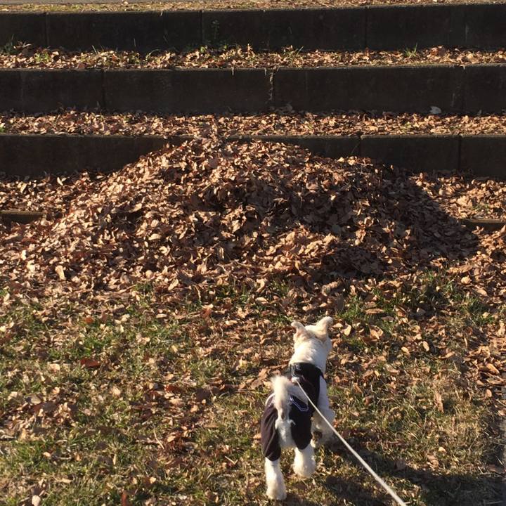 01deb5c9 2724 4f50 887e 3e4e60143332