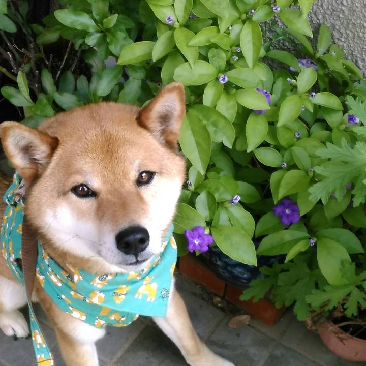 01dedbf0 e21b 471d 8a13 6059b8a442cf