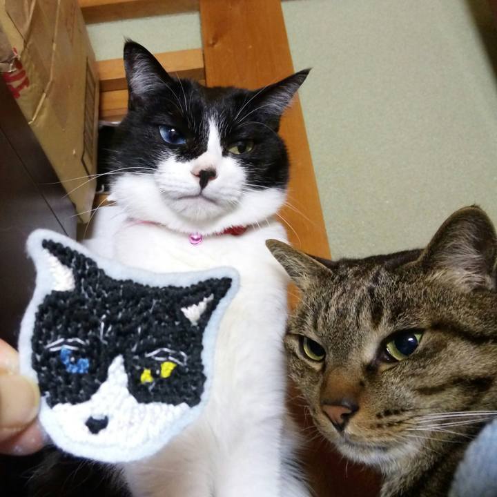 01dee618 a055 4068 b982 cc8c66e98db5