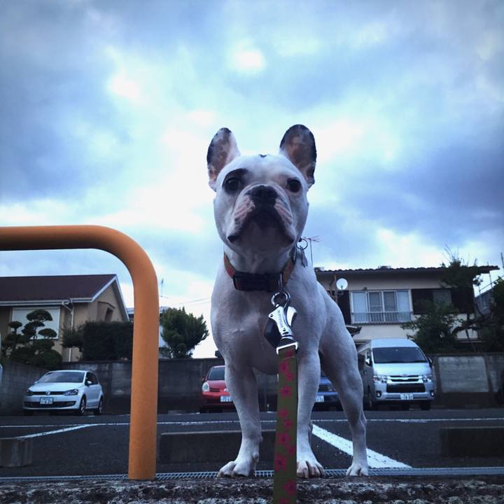 01df838b 54c0 42e8 87b5 7fa6e5abc46a