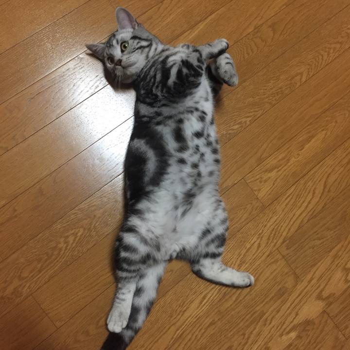 01e04951 ded7 43a9 9ba6 6cff87249a5c