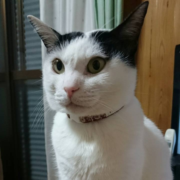 01e0697b c28e 4abc 94ff 96c1126be40e