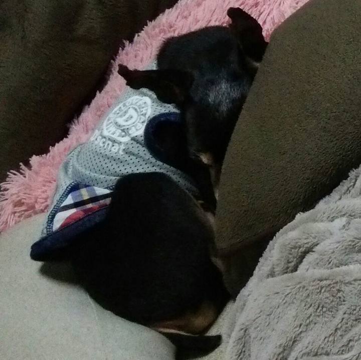 01e085f0 04fe 45b4 b366 d38b8531aa6c