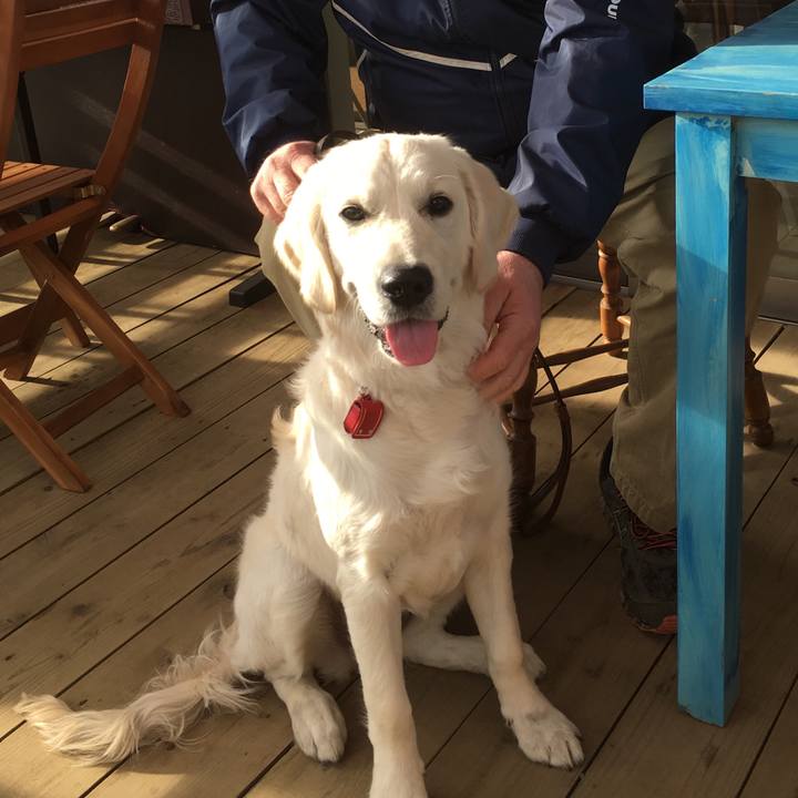 01e1001f 4bcf 45ca 9f77 837018e0d68e