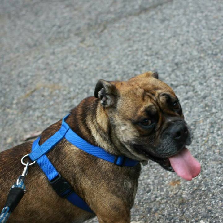 01e16516 4214 45ef a7e0 510cb455c97b