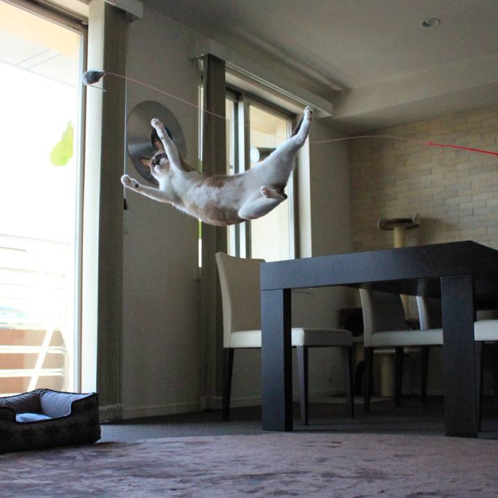 01e18fd0 bb67 46fd 9b6e 3d692e0f704d