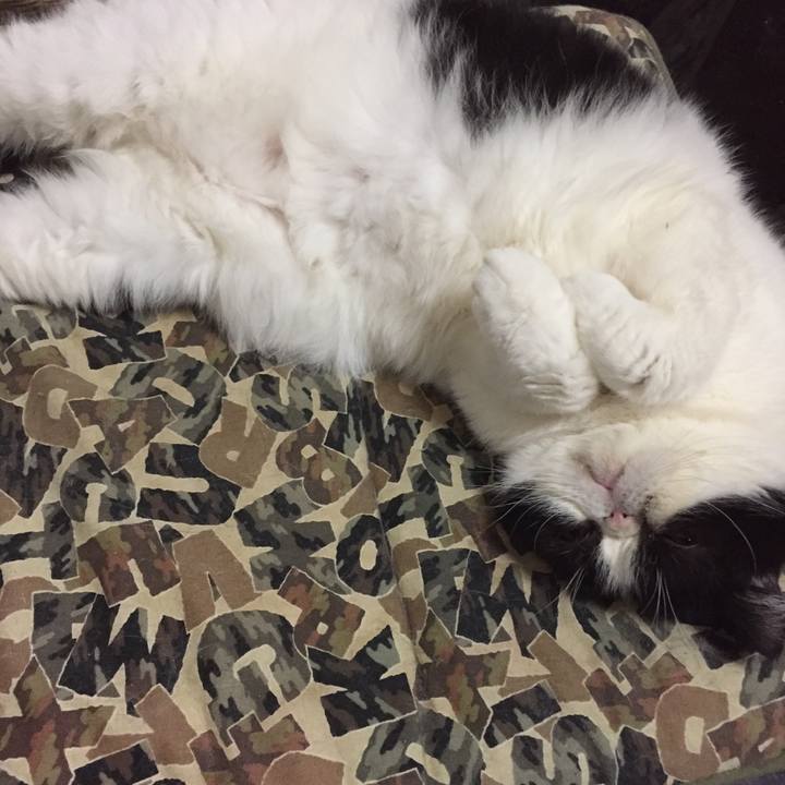 01e23db8 d078 43ec 8909 5529593f78ba