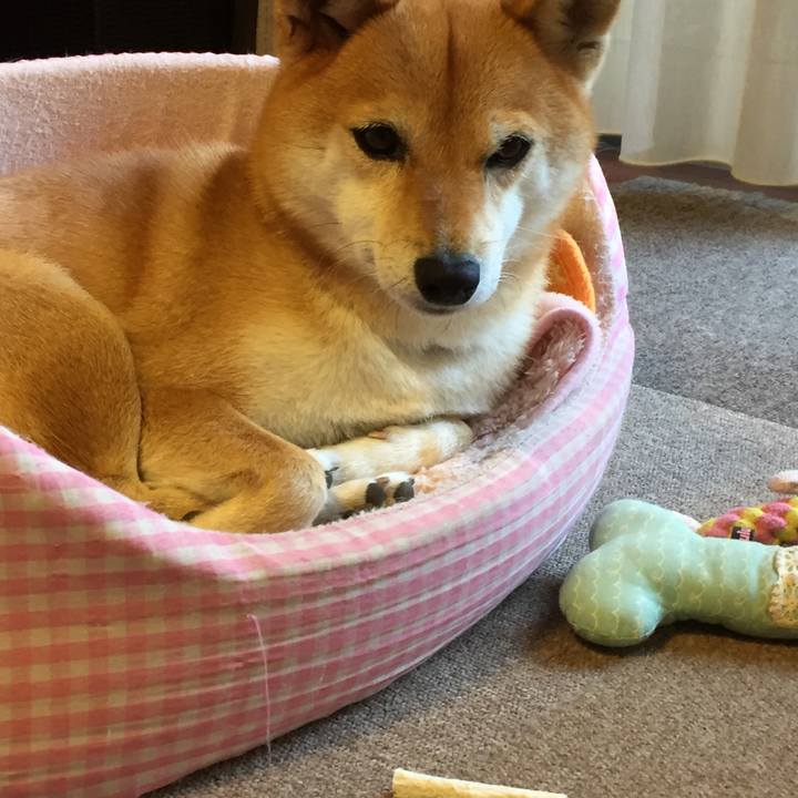 01e24691 7308 4e19 8825 b111afba02c1