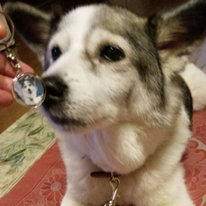 01e2bf4e 8817 4b10 b522 210e827ac694