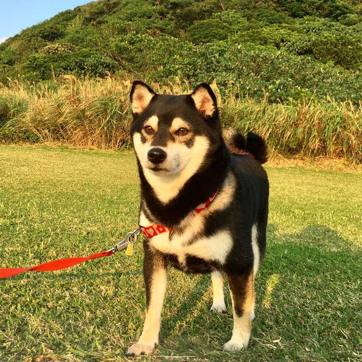 01e37acc 94fb 4fcd af73 509e0bde3882