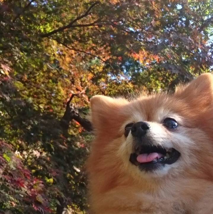 01e3cc3c 2624 4246 a8a8 3121d77f8a79