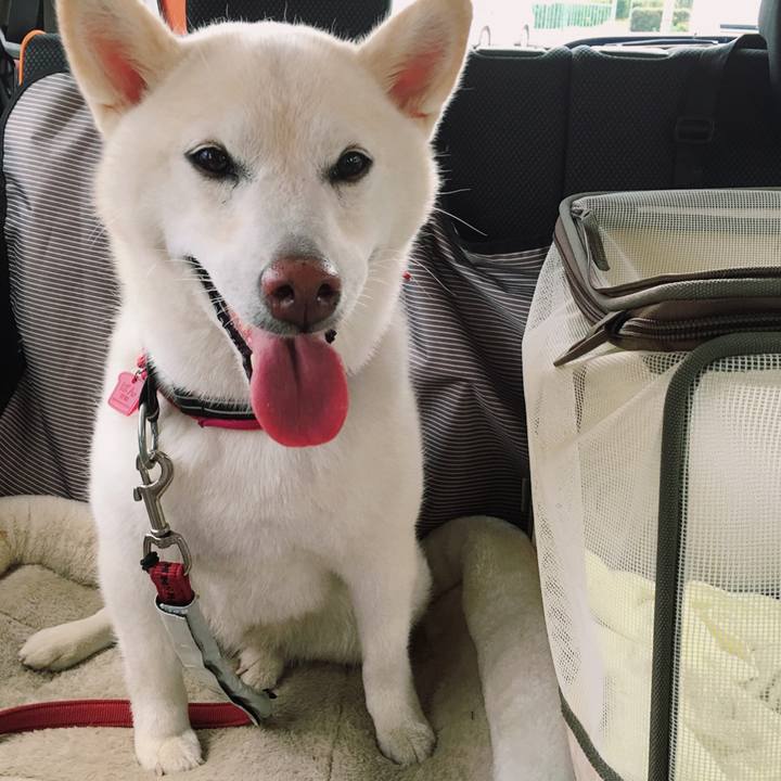 01e43c73 d923 4ccd 9401 de7f1f8ecbab