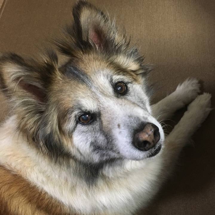 01e46c59 f3ad 4a97 90be 6803951bf08e