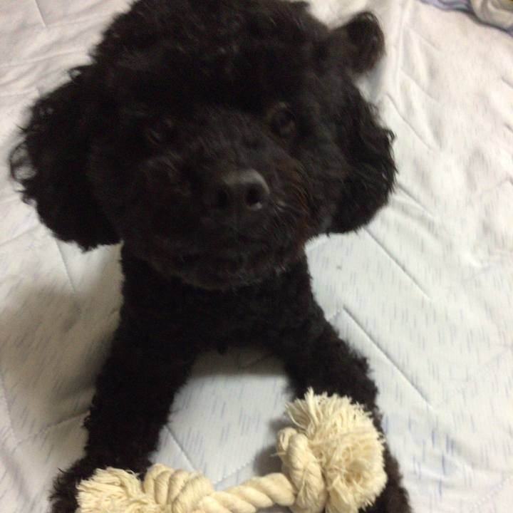 01e50b86 f4ad 4178 b0c5 4d7dba9976e3